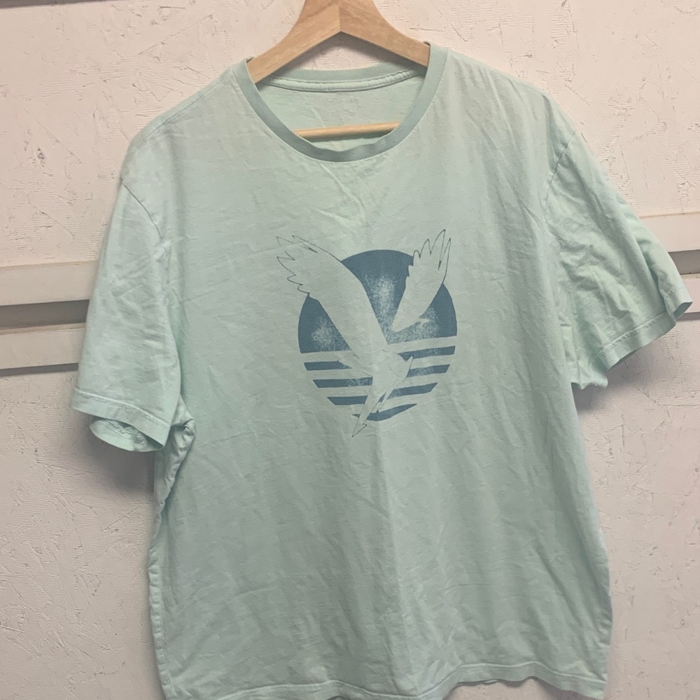 American Eagle Outfitters Mint Green Graphic Tee